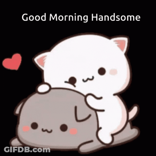 Good Morning Husband Mochi Peach Cat GIF