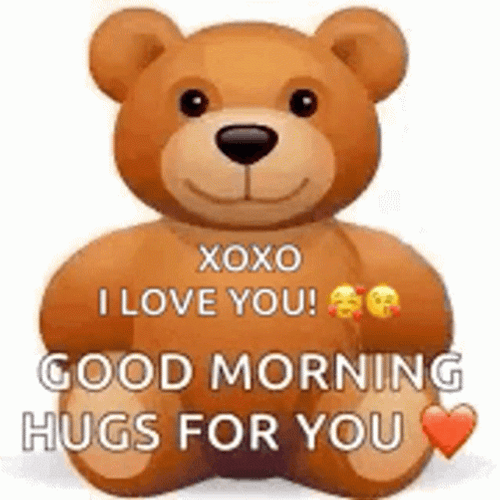 Good Morning I Love You Bear Hug GIF