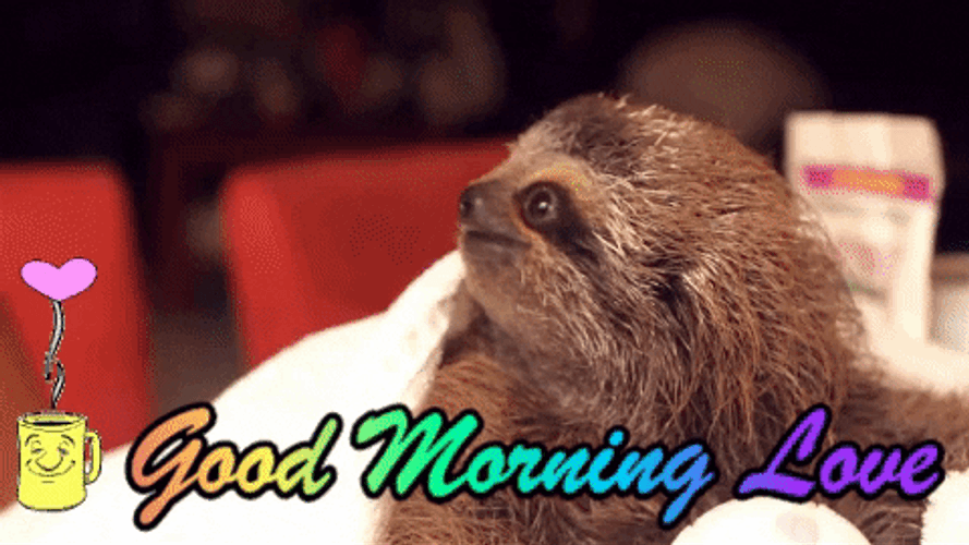 Good Morning I Love You Sloth GIF