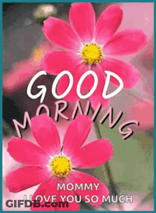 Good Morning I Love You So Much Wonderful Day GIF