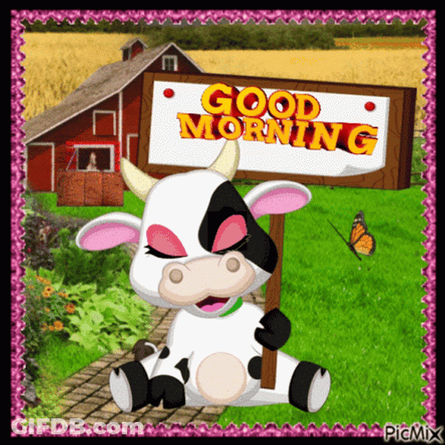 Good Morning In Sign Language Cow GIF