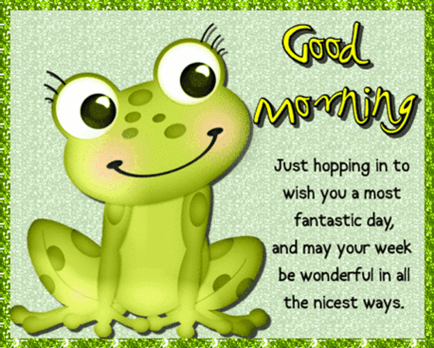 Good Morning Inspirational Cheerful Frog GIF