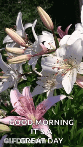 Good Morning It's A Great Day Flowers GIF