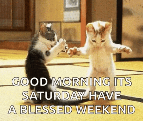 Good Morning It's Saturday Have A Blessed Weekend GIF