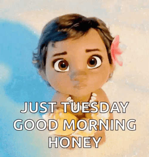 Good Morning It's Tuesday Cute Little Moana GIF