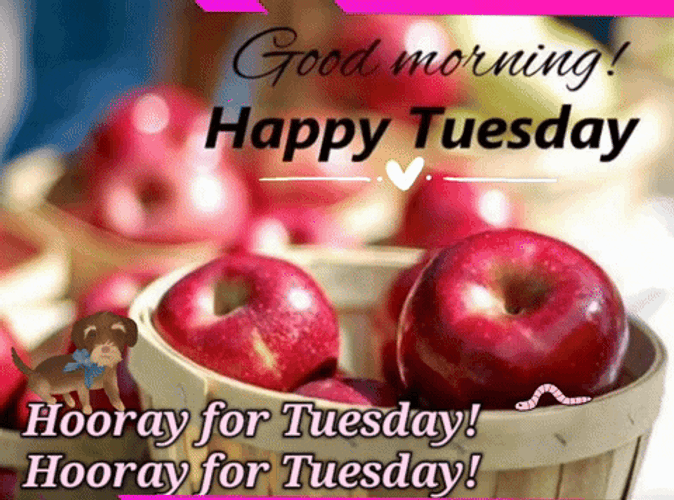 Good Morning It's Tuesday Fresh Apples GIF
