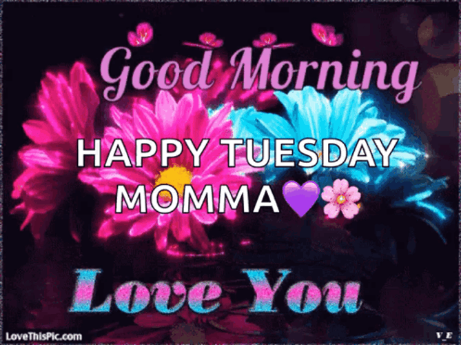 Good Morning It's Tuesday Purple Blue Flowers GIF