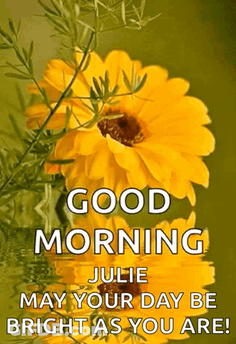 Good Morning Julie Greeting Card GIF
