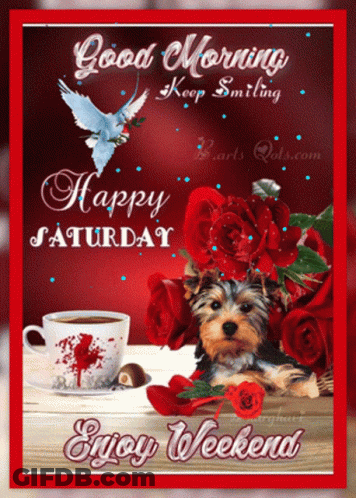 Good Morning Keep Smiling Saturday GIF