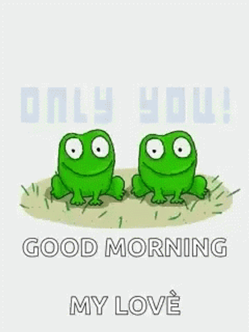 Good Morning Kiss Couple Frog GIF