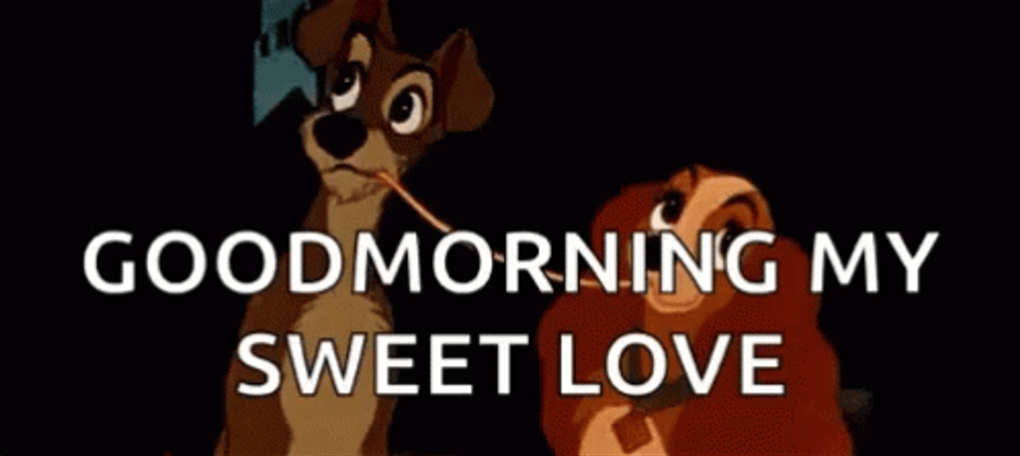 Good Morning Kiss Lady And The Tramp GIF