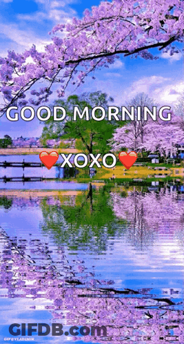 Good Morning Lake With Purple Flowers GIF