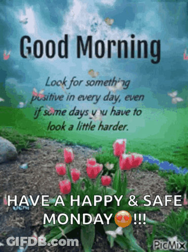 Good Morning Look For Something Positive In Every Day , Even If Some Days You Have To Look A Little Harder Have A Happy GIF