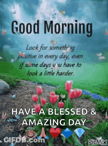Good Morning Look For Something Positive In Every Day GIF