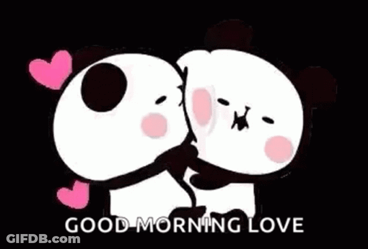 Good Morning Love Couple Panda GIF