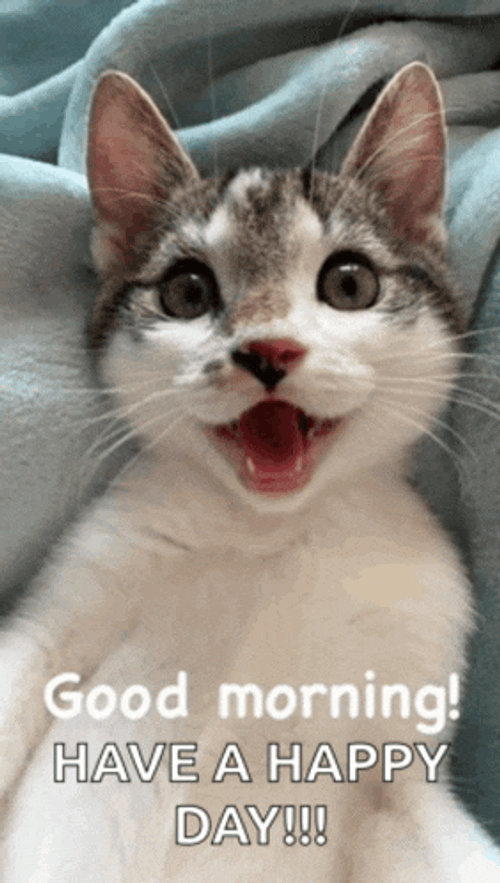 Good Morning Love Good Morning Kiss Meme GIF