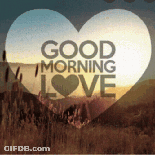 Good Morning Love Pink Rose Petals GIF