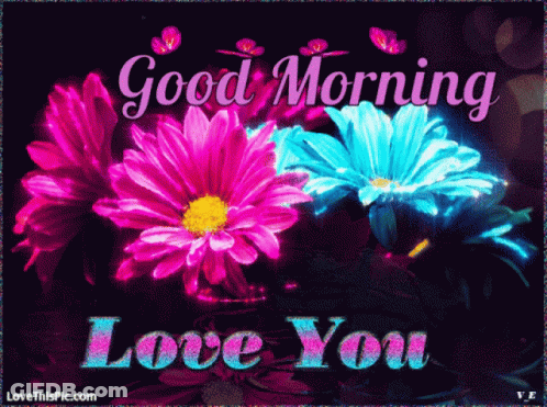 Good Morning Love You Greeting Card GIF