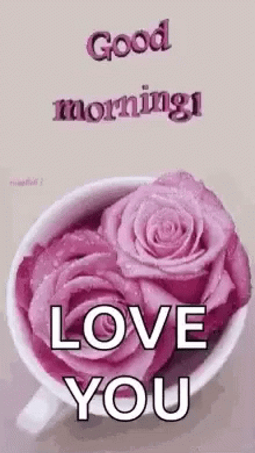 Good Morning Love You Pink Roses In A Cup GIF