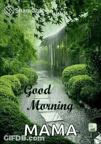 Good Morning Mama Garden In The Rain GIF