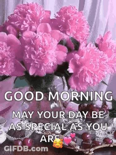 Good Morning May Your Day Be As Special As You Are GIF