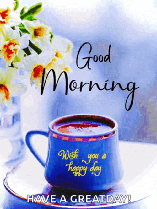 Good Morning Meme GIF