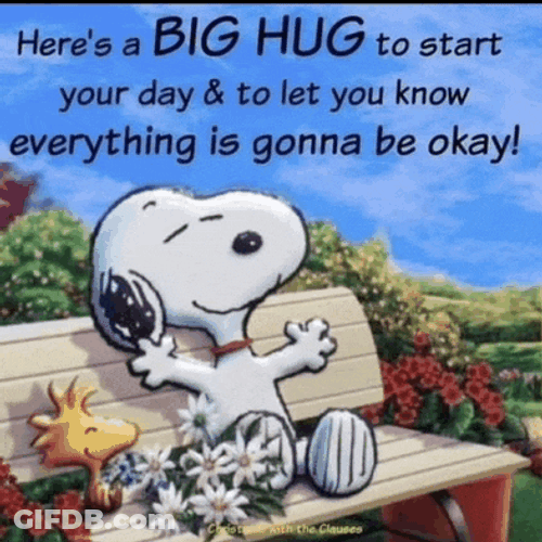 Good Morning Meme GIF