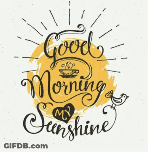 Good Morning Meme GIF