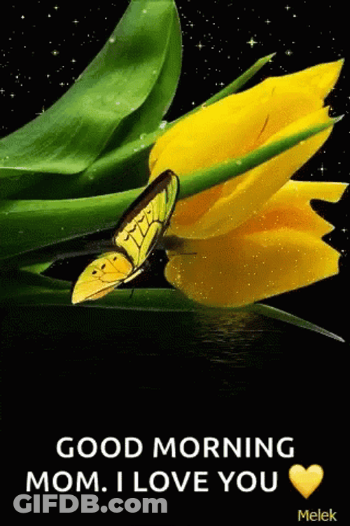 Good Morning Mom I Love You Flowers GIF