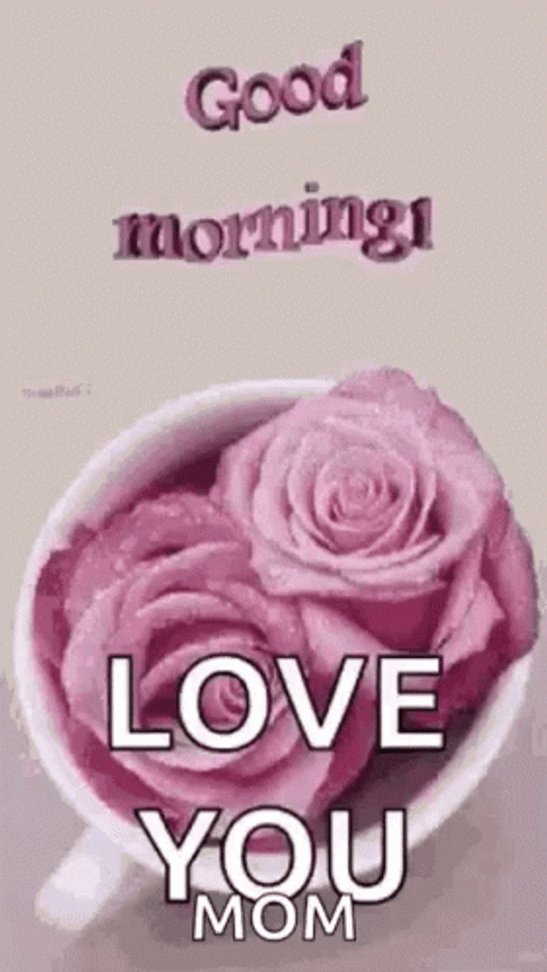 Good Morning Mom Love You Pink Rose GIF