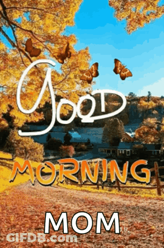 Good Morning Mom Poster With Butterflies GIF