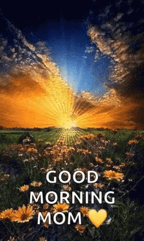 Good Morning Mom Sun Flowers GIF