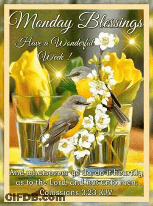 Good Morning Monday Blessings Colossian GIF