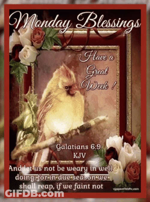 Good Morning Monday Blessings Galatians Verse GIF