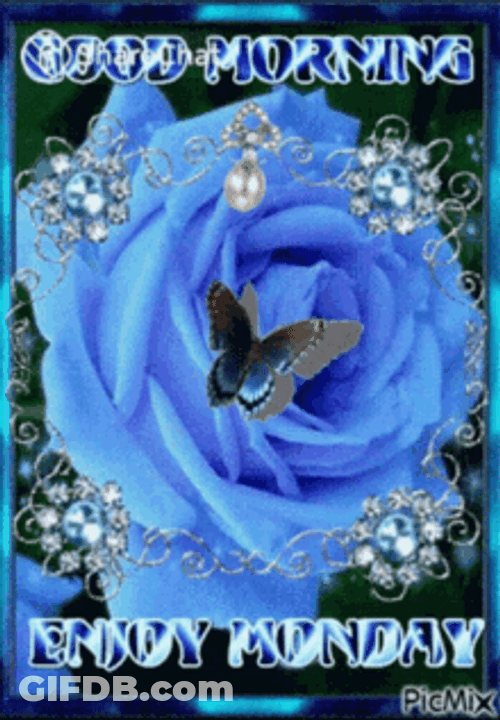 Good Morning Monday Blue Roses And Butterflies GIF