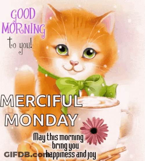 Good Morning Monday Funny Of Cat GIF