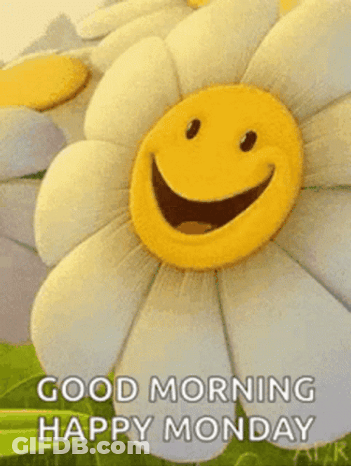 Good Morning Monday Funny Of Flower Winking GIF