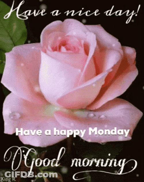 Good Morning Monday Have A Nice Day GIF