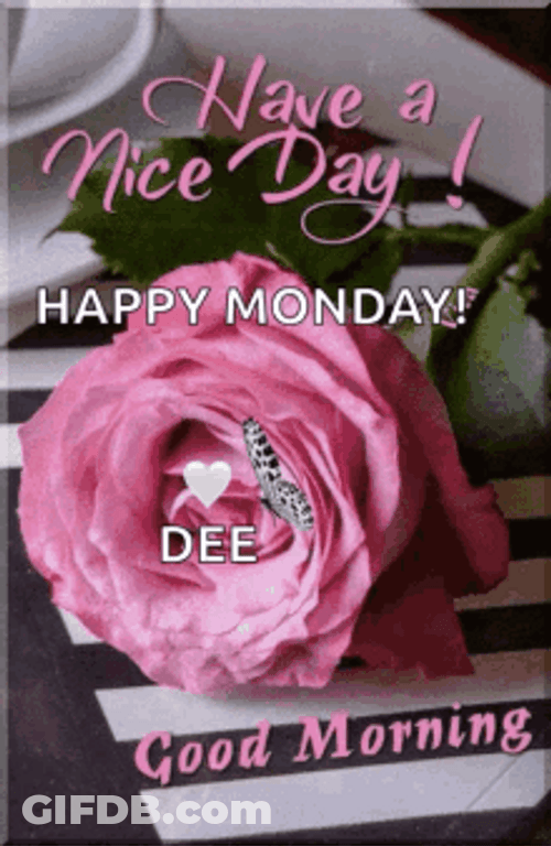 Good Morning Monday With Cute Fluttering Butterfly GIF