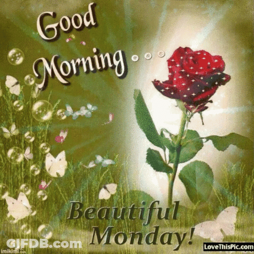 Good Morning Monday With Shinning Red Roses GIF