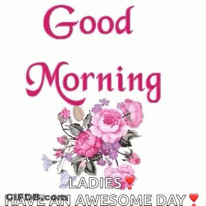 Good Morning Morning GIF