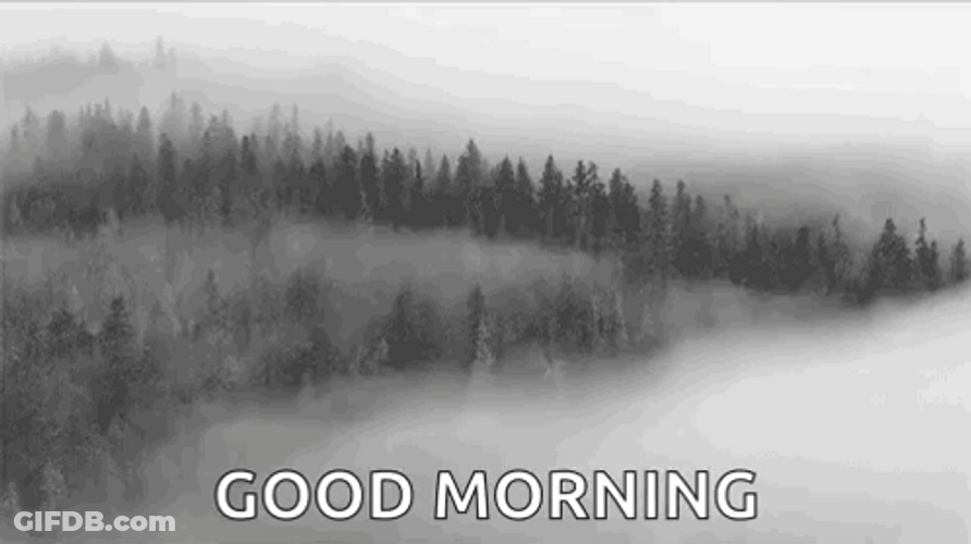 Good Morning Mountain Fog GIF