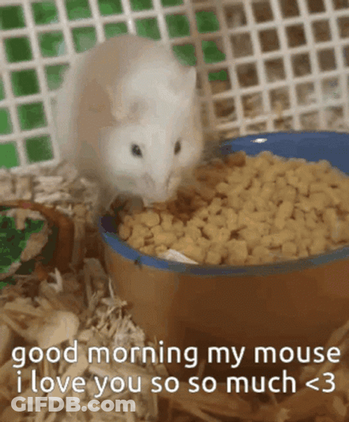 Good Morning Munching Mouse GIF