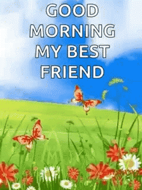 Good Morning My Best Friend GIF
