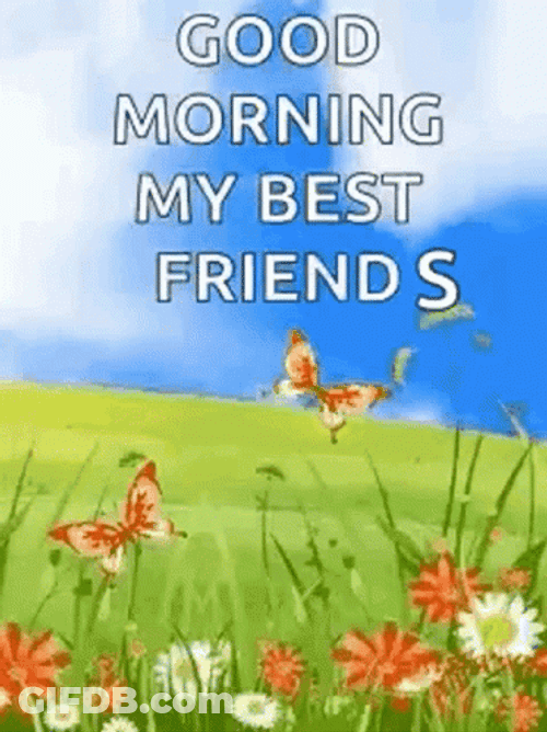 Good Morning My Best Friend Flowers GIF