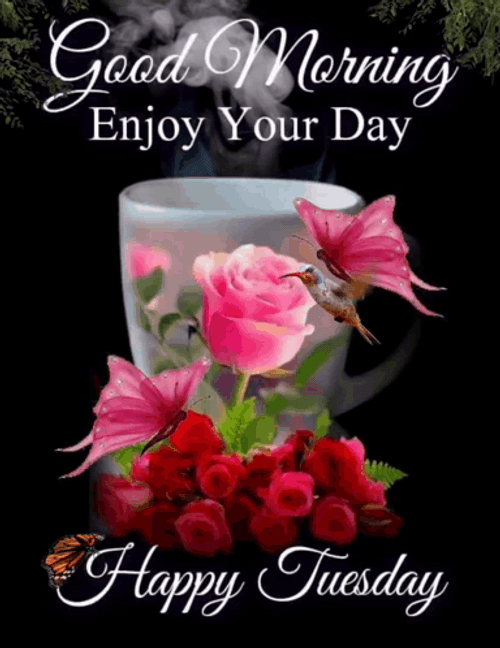 Good Morning My Friend Happy Tuesday GIF