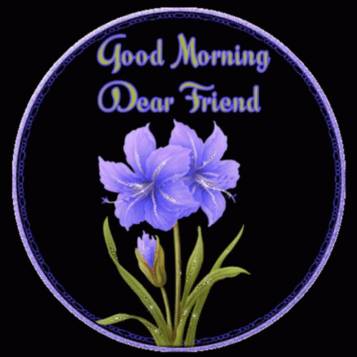 Good Morning My Friend The Seed Of Life GIF