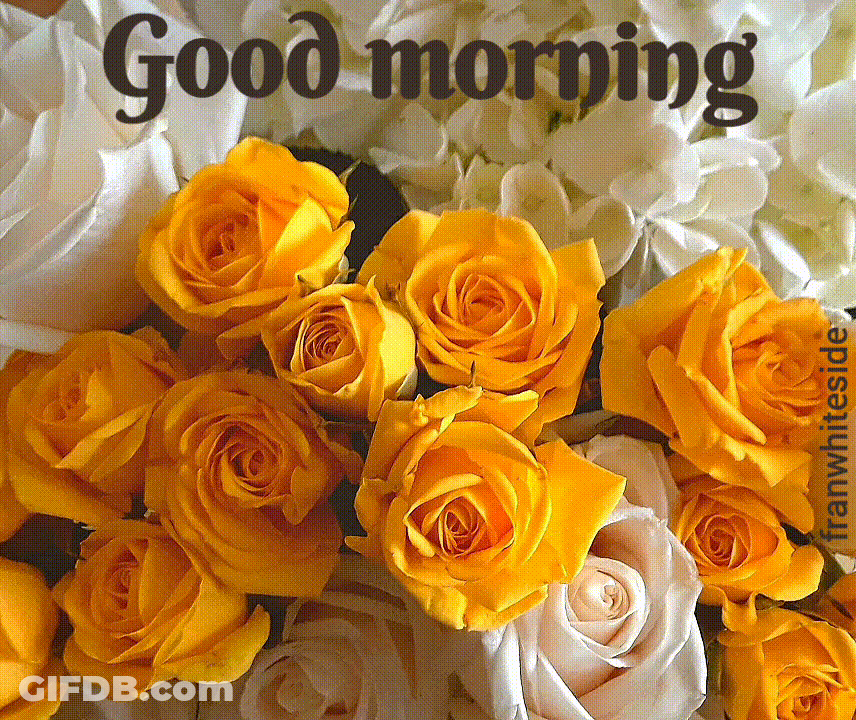 Good Morning My Love GIF