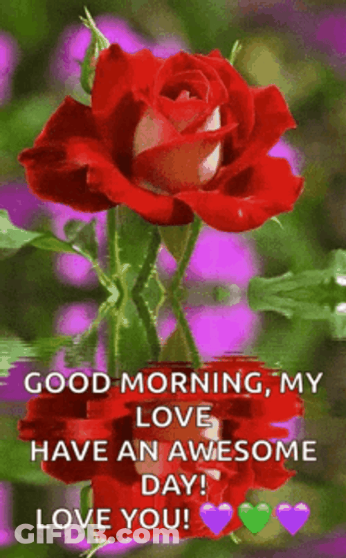 Good Morning My Love Flowers In Water GIF