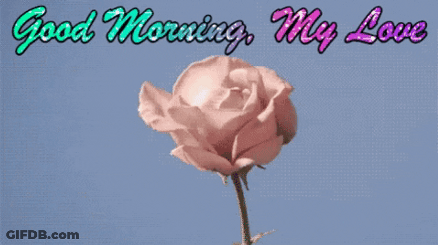 Good Morning My Love I Love You Blooming Flower GIF